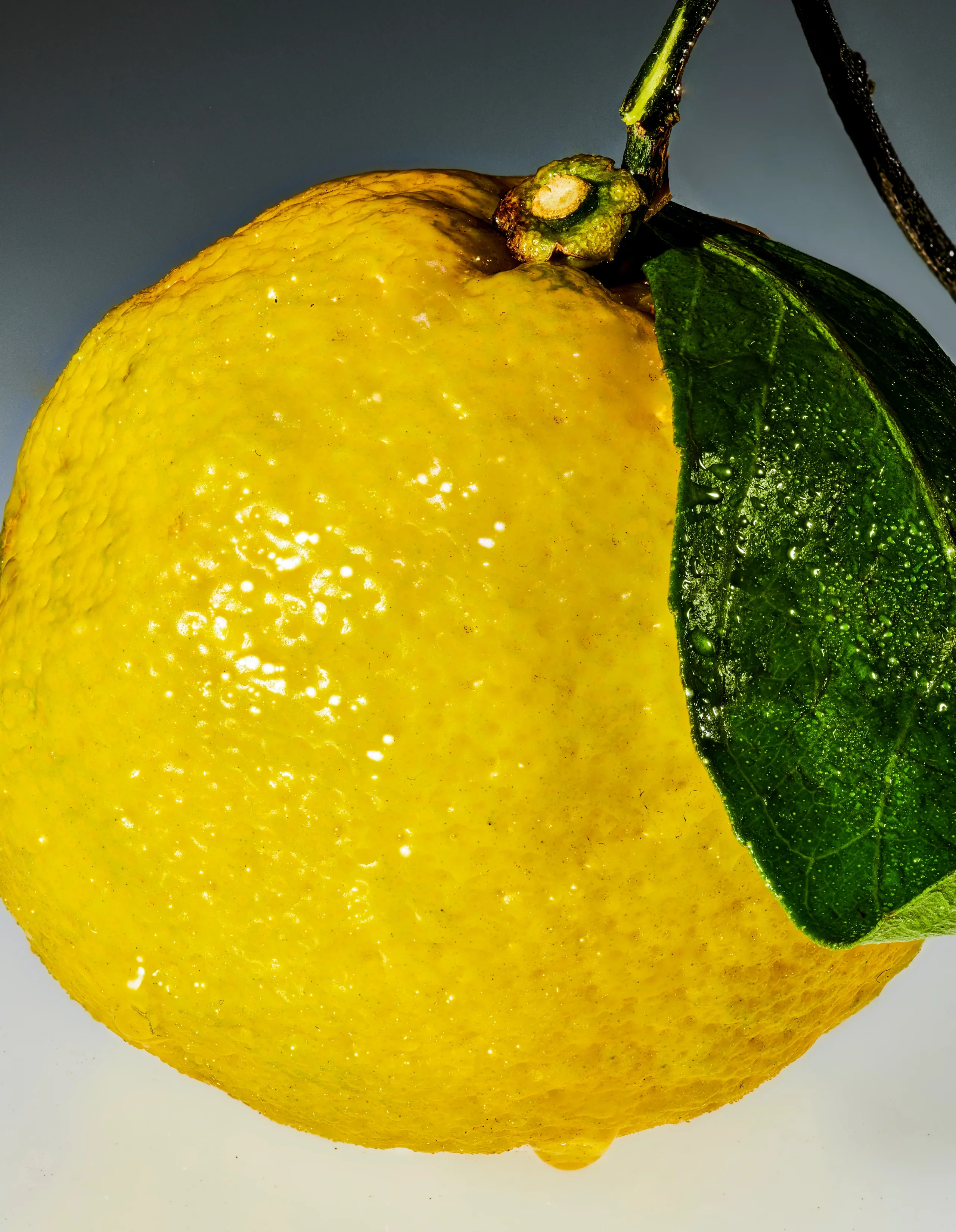 Sour Yuzu Mochi - 5mg or 10mg THC - Image 3